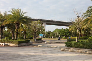 城市道路旁的绿植与高架桥