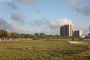 城郊开阔草地与远处高楼