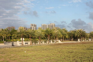 海滨草地与远处建筑景观