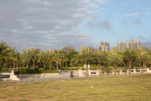 户外开阔绿地与树木景观