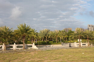 户外草地旁的绿植景观