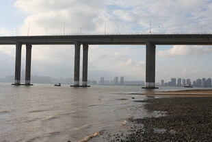 海上大桥近景