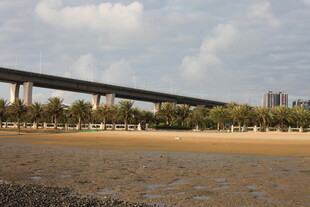 河畔桥梁与城市远景