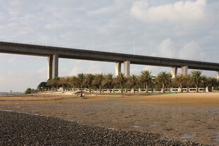 海滨高架桥风景