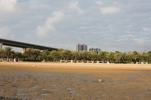 海滨风光下的桥梁与沙滩