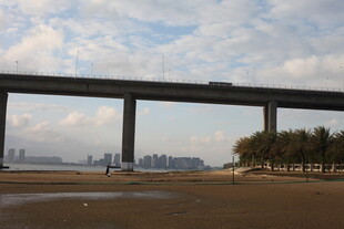 城市高架桥与开阔河岸景观