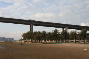 海边高架桥与绿树景观