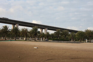 高架桥下的开阔空地