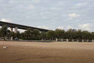 桥梁横跨开阔场地