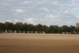 空旷操场与远处树木景观