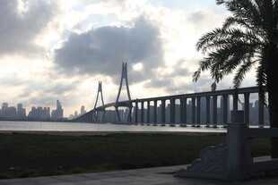 城市跨海大桥与天际景观