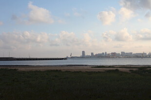海滨城市远景风光