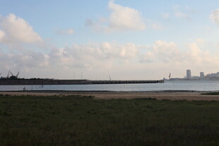海滨风光天际线与草地