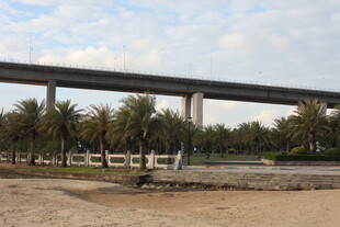 户外高架桥与绿植景观