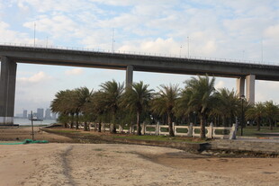 高架桥下的开阔户外场景
