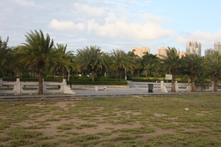 户外开阔草地与树木景观