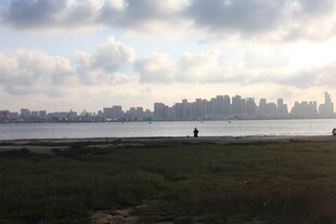 城市天际线与水边景致