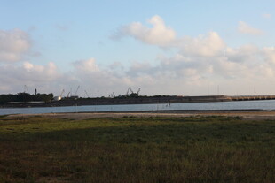 广阔原野上的蓝天与远树