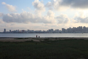 城市天际线与河畔风景