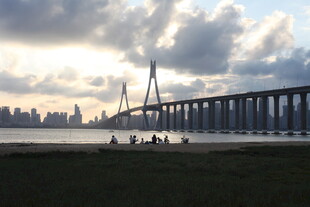 黄昏下的大桥与城市景观