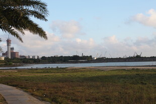 河畔风光开阔草地与远景