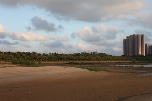 海滨风光远处高楼与沙滩