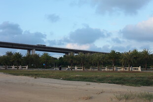 黄昏下的高架桥与开阔地