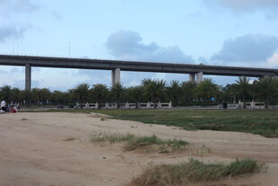 郊外高架桥与开阔沙地景观