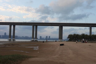 黄昏下的跨江大桥景观