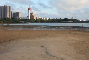 城市河畔沙滩美丽景致