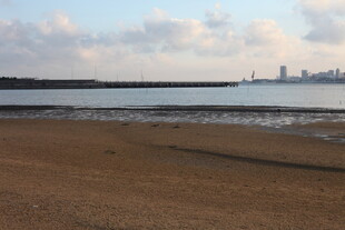 海滨风光宁静沙滩与城市远景