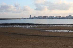 海滨城市风光沙滩与天际
