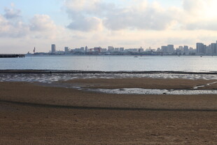 海滨城市风光远眺