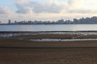 海滨城市的黄昏沙滩景色