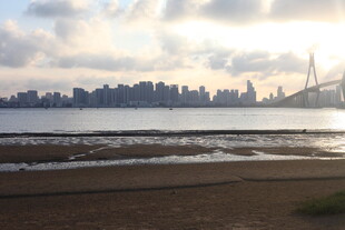 海滨城市风光远眺