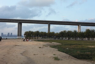 河畔大桥下的开阔景致