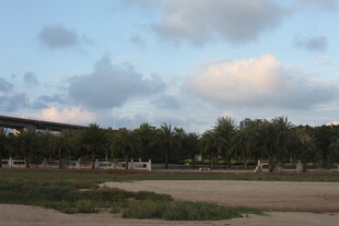 黄昏下的开阔户外风景