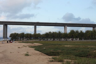 海边高架桥风景