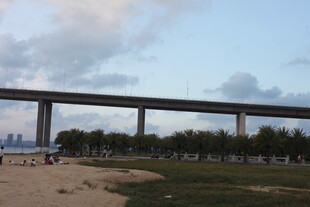 城市高架桥下的开阔风景