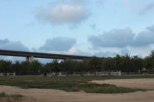 郊外高架桥与田园风光