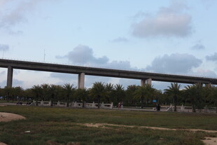 户外高架桥风景