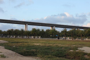 高架桥横跨开阔草地