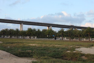 城郊高架桥与开阔草地景观