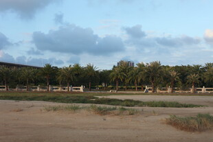 郊外开阔地与树木景观