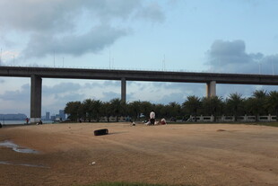 桥边开阔场地风景
