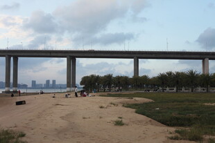 河畔大桥下的开阔风景
