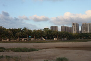 城郊风景高楼与绿地相映