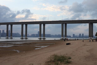 海滨大桥下的宁静景致