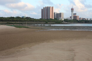 城市边的河岸沙滩景观