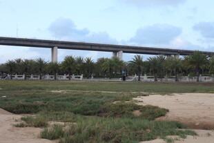 高架桥畔的开阔绿地景观